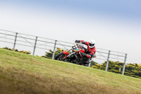 07th-to-9th-January-2019;Phillip-Island;event-digital-images;motorbikes;no-limits;peter-wileman-photography;trackday;trackday-digital-images