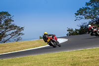 07th-to-9th-January-2019;Phillip-Island;event-digital-images;motorbikes;no-limits;peter-wileman-photography;trackday;trackday-digital-images