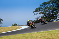 07th-to-9th-January-2019;Phillip-Island;event-digital-images;motorbikes;no-limits;peter-wileman-photography;trackday;trackday-digital-images