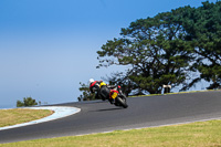 07th-to-9th-January-2019;Phillip-Island;event-digital-images;motorbikes;no-limits;peter-wileman-photography;trackday;trackday-digital-images