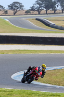 07th-to-9th-January-2019;Phillip-Island;event-digital-images;motorbikes;no-limits;peter-wileman-photography;trackday;trackday-digital-images