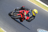 07th-to-9th-January-2019;Phillip-Island;event-digital-images;motorbikes;no-limits;peter-wileman-photography;trackday;trackday-digital-images