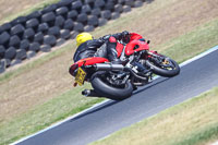 07th-to-9th-January-2019;Phillip-Island;event-digital-images;motorbikes;no-limits;peter-wileman-photography;trackday;trackday-digital-images