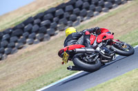 07th-to-9th-January-2019;Phillip-Island;event-digital-images;motorbikes;no-limits;peter-wileman-photography;trackday;trackday-digital-images