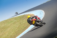 07th-to-9th-January-2019;Phillip-Island;event-digital-images;motorbikes;no-limits;peter-wileman-photography;trackday;trackday-digital-images