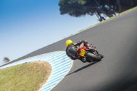 07th-to-9th-January-2019;Phillip-Island;event-digital-images;motorbikes;no-limits;peter-wileman-photography;trackday;trackday-digital-images