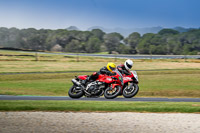 07th-to-9th-January-2019;Phillip-Island;event-digital-images;motorbikes;no-limits;peter-wileman-photography;trackday;trackday-digital-images