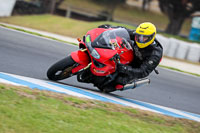 07th-to-9th-January-2019;Phillip-Island;event-digital-images;motorbikes;no-limits;peter-wileman-photography;trackday;trackday-digital-images