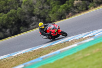 07th-to-9th-January-2019;Phillip-Island;event-digital-images;motorbikes;no-limits;peter-wileman-photography;trackday;trackday-digital-images