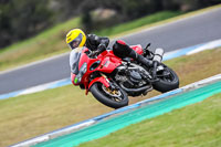 07th-to-9th-January-2019;Phillip-Island;event-digital-images;motorbikes;no-limits;peter-wileman-photography;trackday;trackday-digital-images