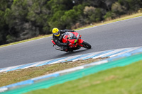 07th-to-9th-January-2019;Phillip-Island;event-digital-images;motorbikes;no-limits;peter-wileman-photography;trackday;trackday-digital-images