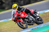 07th-to-9th-January-2019;Phillip-Island;event-digital-images;motorbikes;no-limits;peter-wileman-photography;trackday;trackday-digital-images