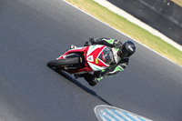 07th-to-9th-January-2019;Phillip-Island;event-digital-images;motorbikes;no-limits;peter-wileman-photography;trackday;trackday-digital-images