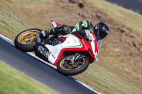 07th-to-9th-January-2019;Phillip-Island;event-digital-images;motorbikes;no-limits;peter-wileman-photography;trackday;trackday-digital-images