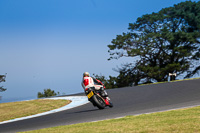 07th-to-9th-January-2019;Phillip-Island;event-digital-images;motorbikes;no-limits;peter-wileman-photography;trackday;trackday-digital-images