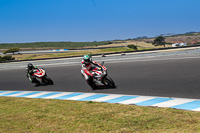 07th-to-9th-January-2019;Phillip-Island;event-digital-images;motorbikes;no-limits;peter-wileman-photography;trackday;trackday-digital-images