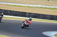 07th-to-9th-January-2019;Phillip-Island;event-digital-images;motorbikes;no-limits;peter-wileman-photography;trackday;trackday-digital-images