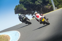 07th-to-9th-January-2019;Phillip-Island;event-digital-images;motorbikes;no-limits;peter-wileman-photography;trackday;trackday-digital-images