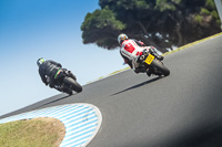 07th-to-9th-January-2019;Phillip-Island;event-digital-images;motorbikes;no-limits;peter-wileman-photography;trackday;trackday-digital-images