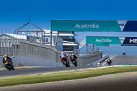 07th-to-9th-January-2019;Phillip-Island;event-digital-images;motorbikes;no-limits;peter-wileman-photography;trackday;trackday-digital-images