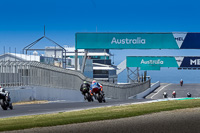 07th-to-9th-January-2019;Phillip-Island;event-digital-images;motorbikes;no-limits;peter-wileman-photography;trackday;trackday-digital-images