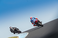 07th-to-9th-January-2019;Phillip-Island;event-digital-images;motorbikes;no-limits;peter-wileman-photography;trackday;trackday-digital-images