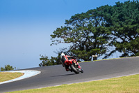 07th-to-9th-January-2019;Phillip-Island;event-digital-images;motorbikes;no-limits;peter-wileman-photography;trackday;trackday-digital-images