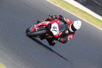 07th-to-9th-January-2019;Phillip-Island;event-digital-images;motorbikes;no-limits;peter-wileman-photography;trackday;trackday-digital-images