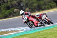 07th-to-9th-January-2019;Phillip-Island;event-digital-images;motorbikes;no-limits;peter-wileman-photography;trackday;trackday-digital-images