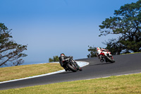 07th-to-9th-January-2019;Phillip-Island;event-digital-images;motorbikes;no-limits;peter-wileman-photography;trackday;trackday-digital-images