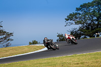 07th-to-9th-January-2019;Phillip-Island;event-digital-images;motorbikes;no-limits;peter-wileman-photography;trackday;trackday-digital-images