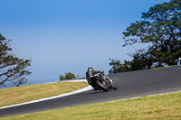 07th-to-9th-January-2019;Phillip-Island;event-digital-images;motorbikes;no-limits;peter-wileman-photography;trackday;trackday-digital-images