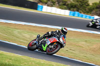 07th-to-9th-January-2019;Phillip-Island;event-digital-images;motorbikes;no-limits;peter-wileman-photography;trackday;trackday-digital-images