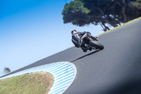 07th-to-9th-January-2019;Phillip-Island;event-digital-images;motorbikes;no-limits;peter-wileman-photography;trackday;trackday-digital-images